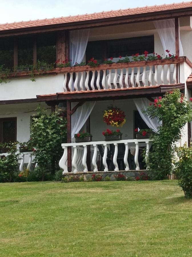 Guesthouse Dida サパレヴァ・バニャ エクステリア 写真